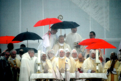 Cardinals are concelebrating Mass