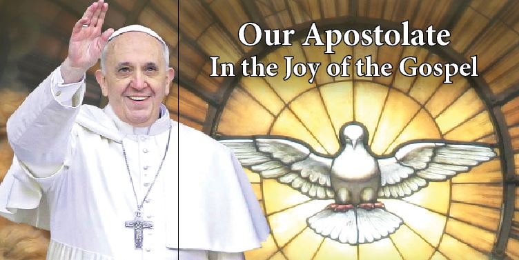 Apostolate in the joy of the Gospel