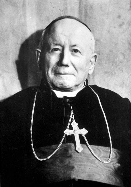 Cardinal Saliege
