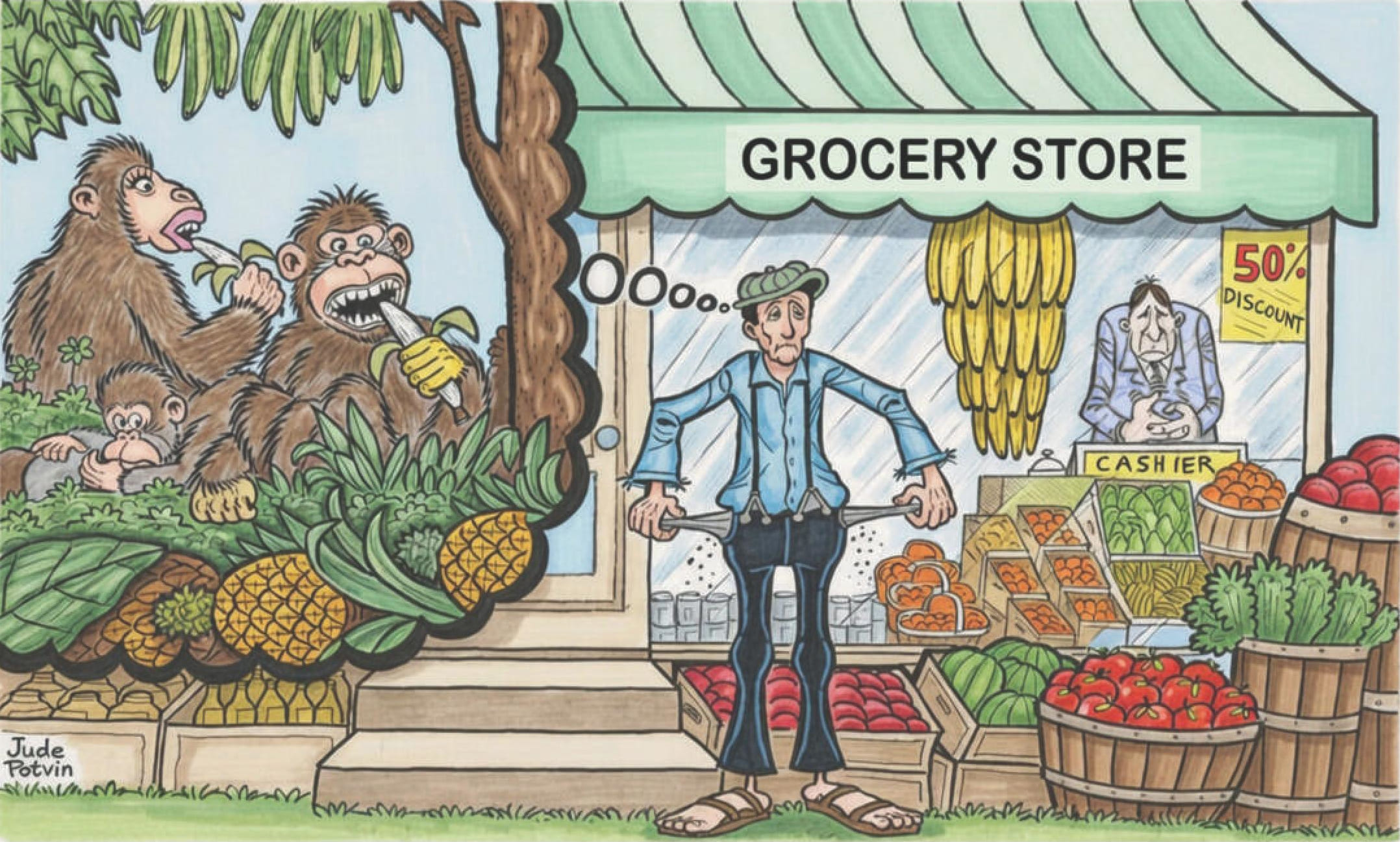 Are we more intelligent than monkeys?